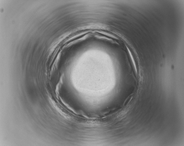 X0000051860437200507151824