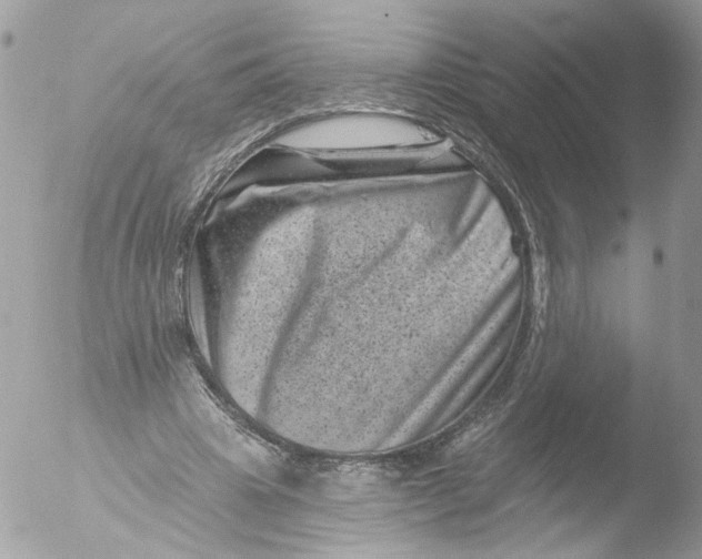 X0000051860441200507151824