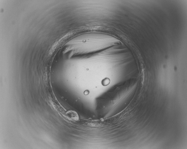 X0000051860442200507151824