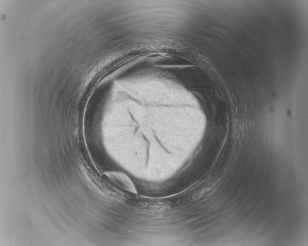 X0000051860443200507151824