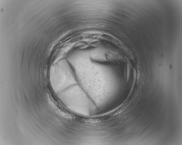 X0000051860444200507151824