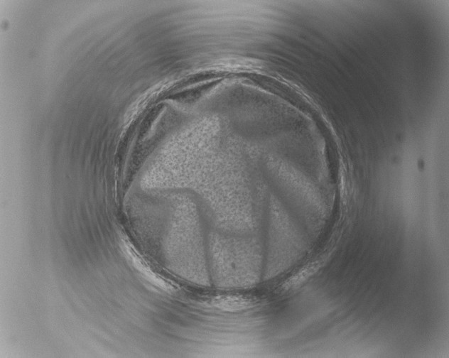 X0000051860445200507151824