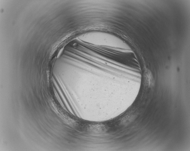 X0000051860446200507151824