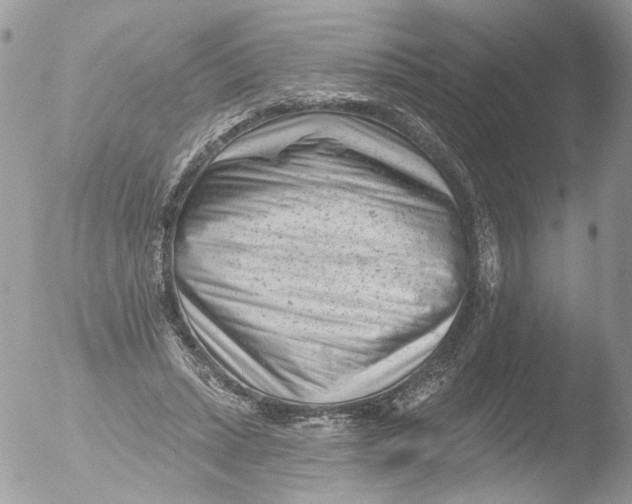 X0000051860447200507151824