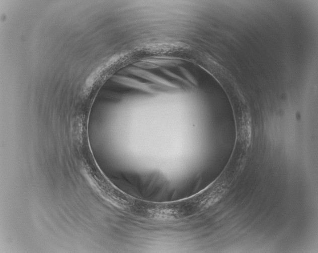 X0000051860448200507151824