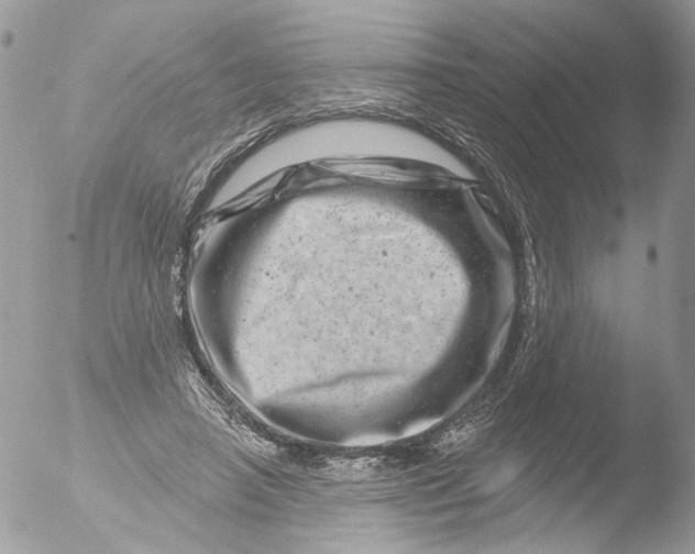 X0000051860450200507151825