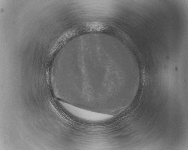 X0000051860451200507151825