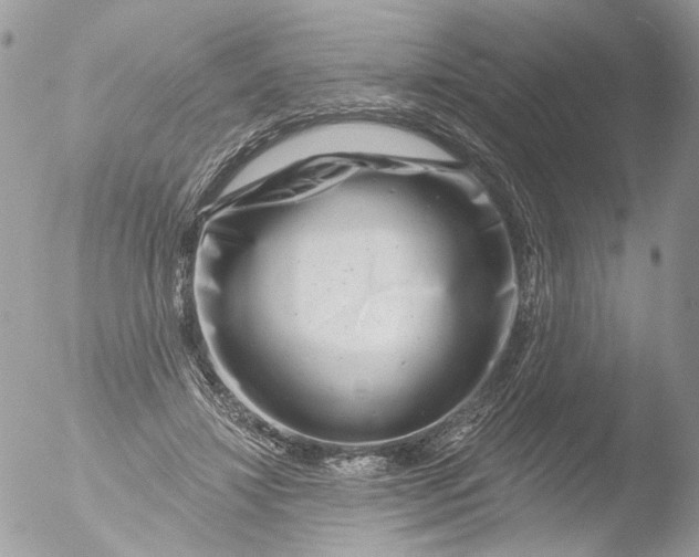 X0000051860452200507151825