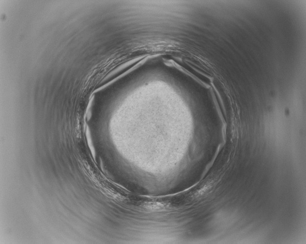 X0000051860453200507151825