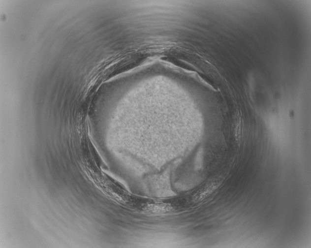 X0000051860455200507151825