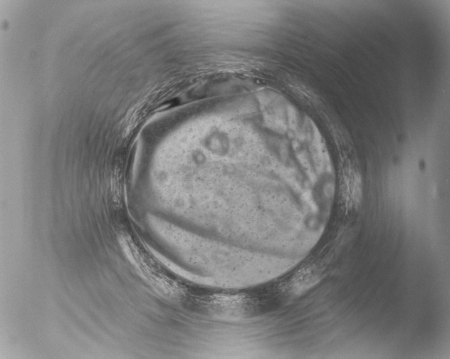 X0000051860457200507151825