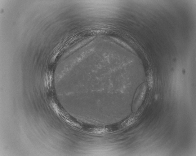 X0000051860458200507151825