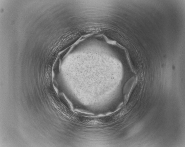 X0000051860460200507151825