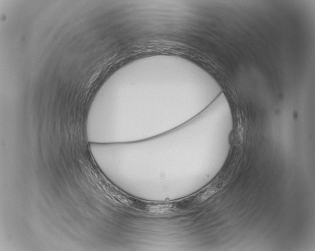 X0000051860461200507151825