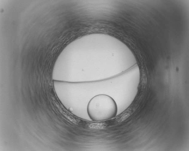 X0000051860465200507151825