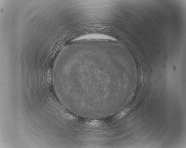 X0000051860467200507151825