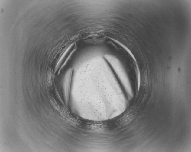 X0000051860468200507151825