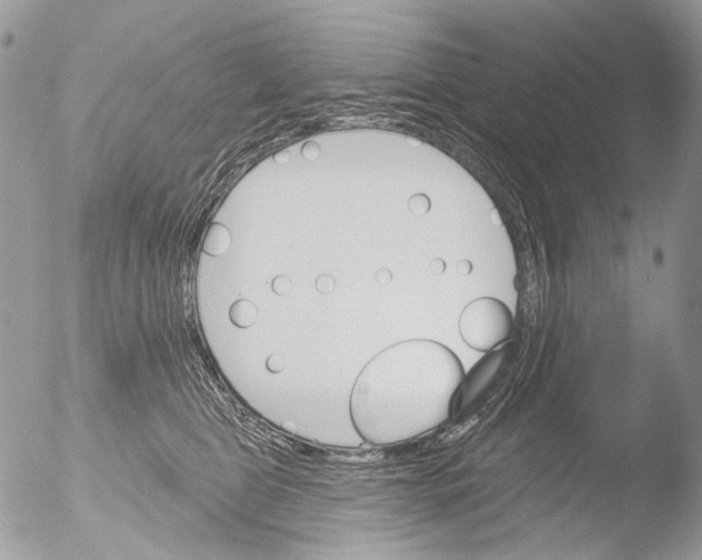 X0000051860469200507151825