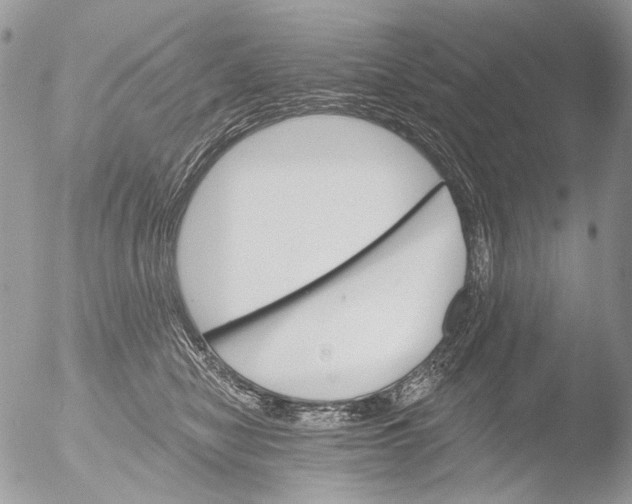 X0000051860470200507151825