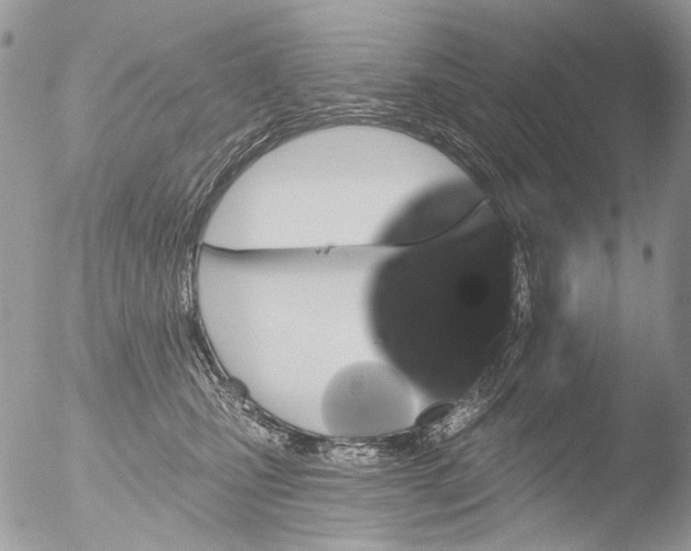 X0000051860471200507151825