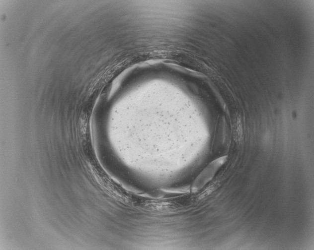 X0000051860472200507151825