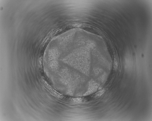 X0000051860473200507151825