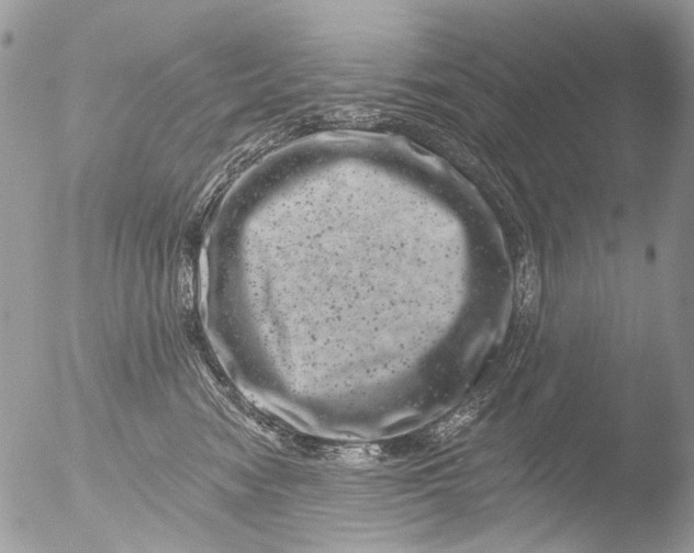 X0000051860474200507151825