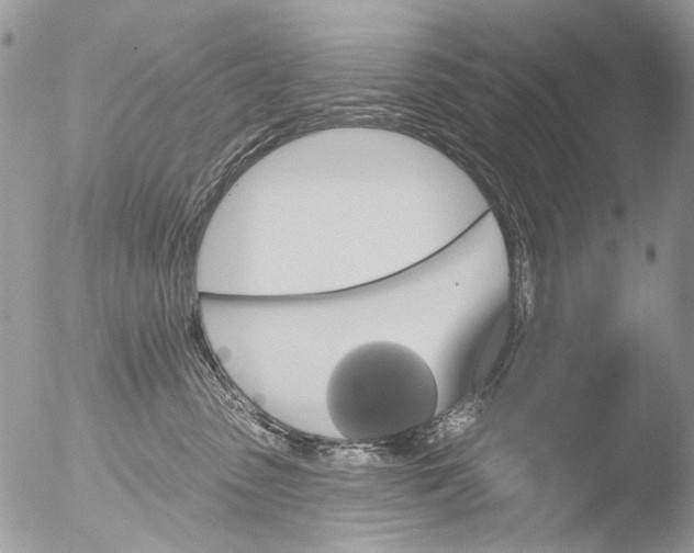 X0000051860475200507151825