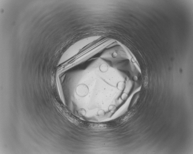 X0000051860476200507151825