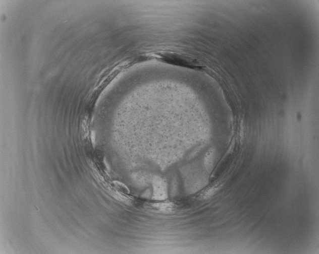 X0000051860478200507151825