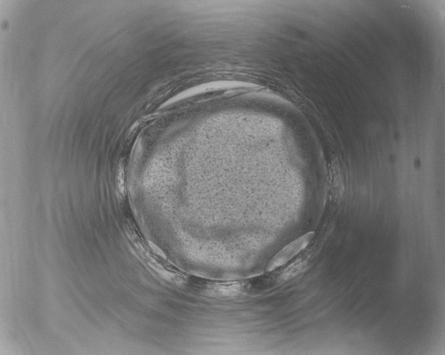 X0000051860479200507151825