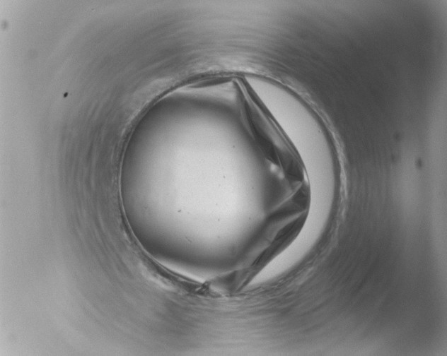 X0000051860481200507151824