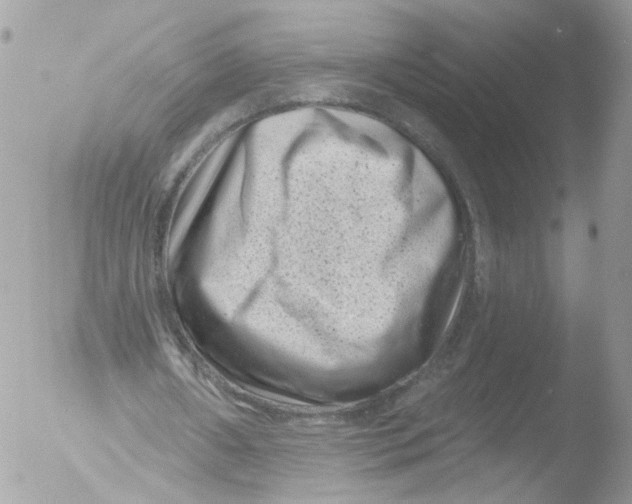 X0000051860482200507151824