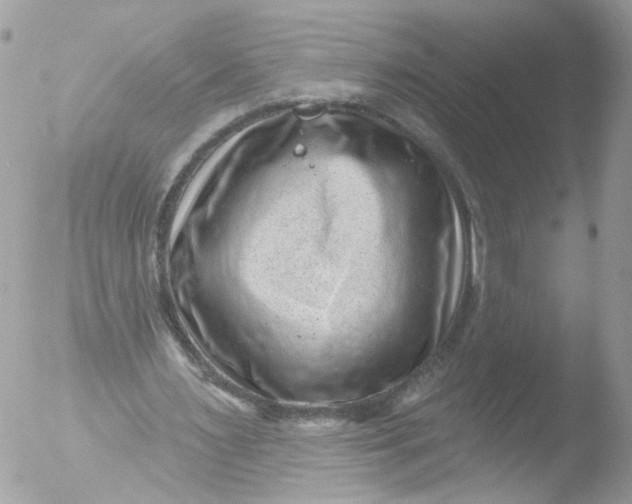 X0000051860483200507151824