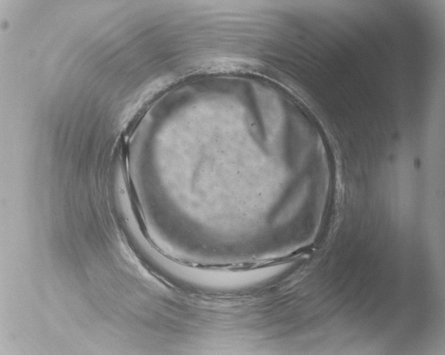 X0000051860485200507151824