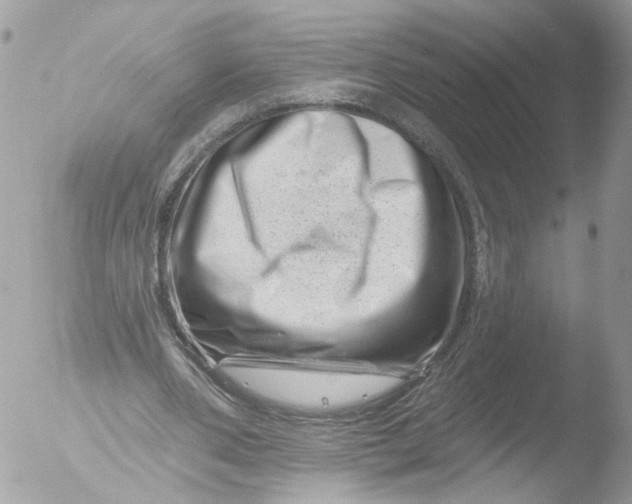 X0000051860486200507151824