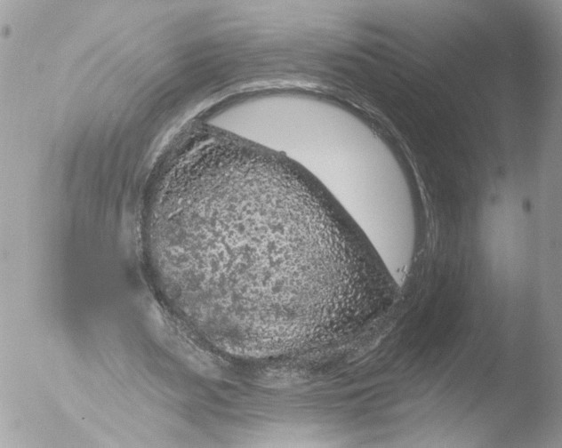 X0000051860487200507151824