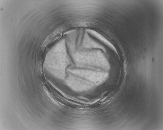 X0000051860489200507151824