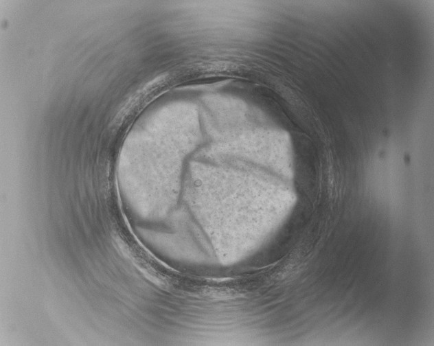 X0000051860490200507151824