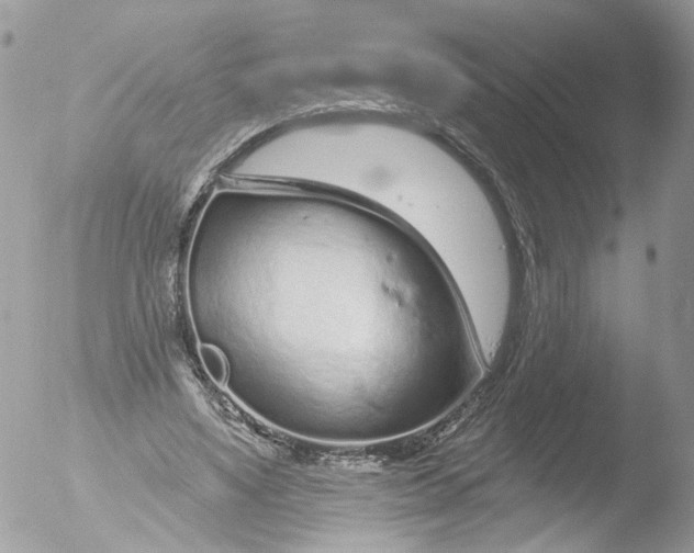 X0000051860491200507151824