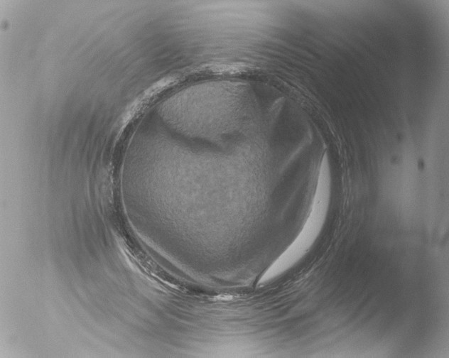 X0000051860492200507151824