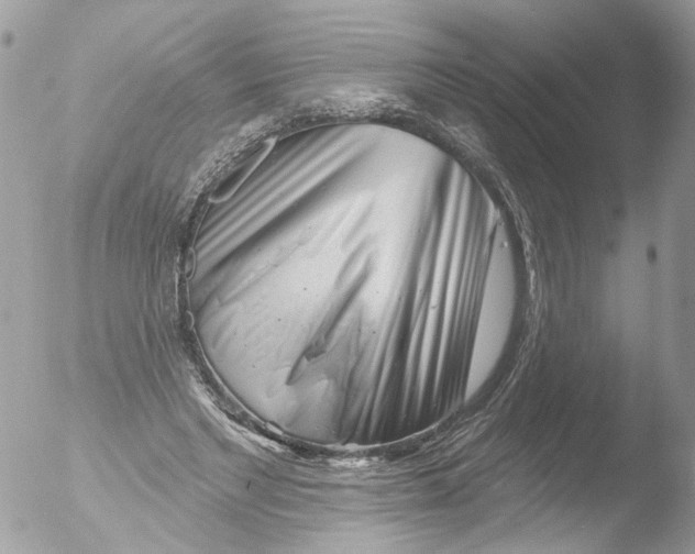 X0000051860493200507151824