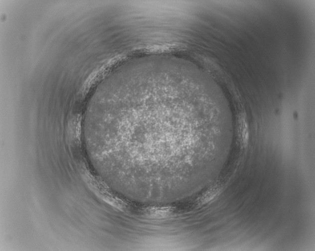 X0000051860495200507151824