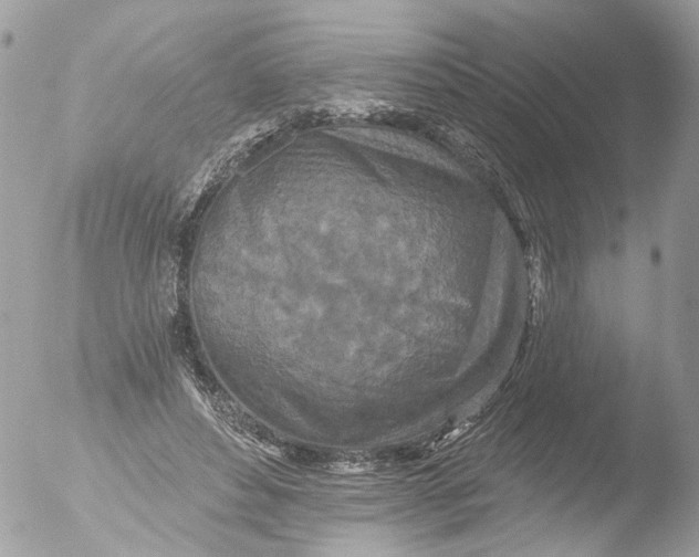 X0000051860496200507151824