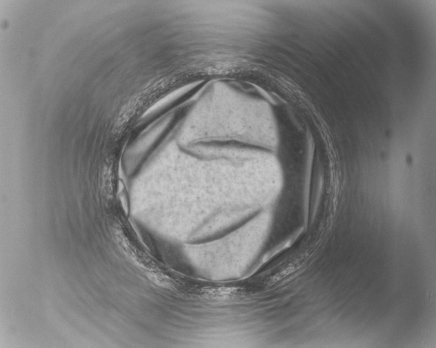 X0000051860497200507151824