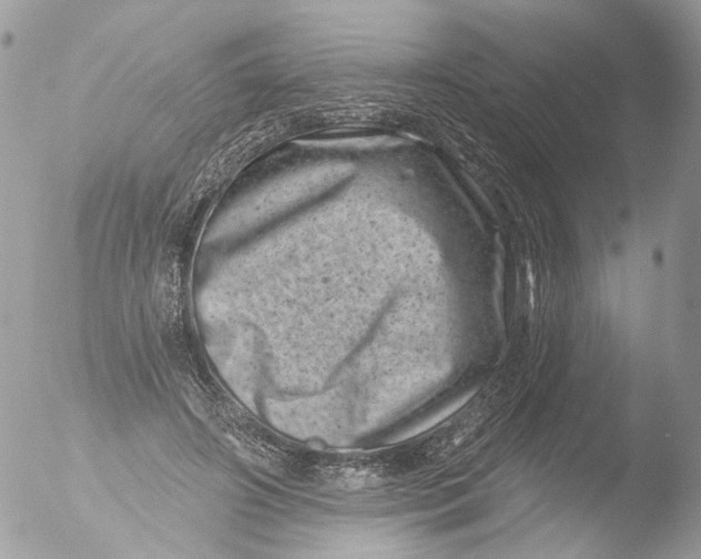 X0000051860498200507151824