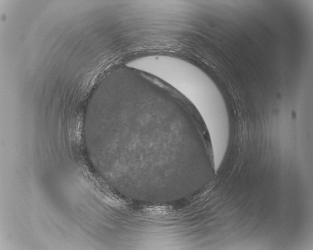 X0000051860499200507151824