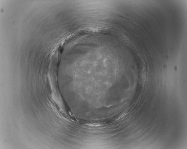 X0000051860500200507151824