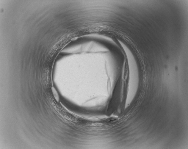 X0000051860501200507151824