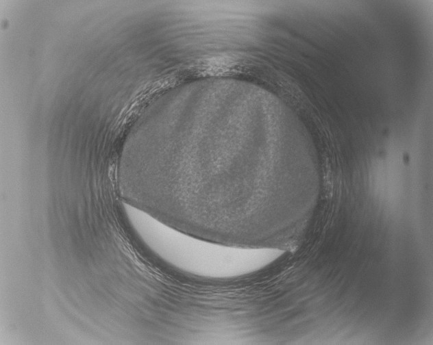 X0000051860503200507151824